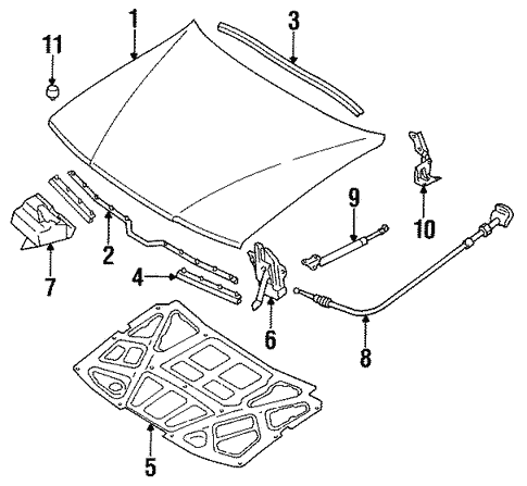 Hood & Components for 1992 Mazda 929 #0