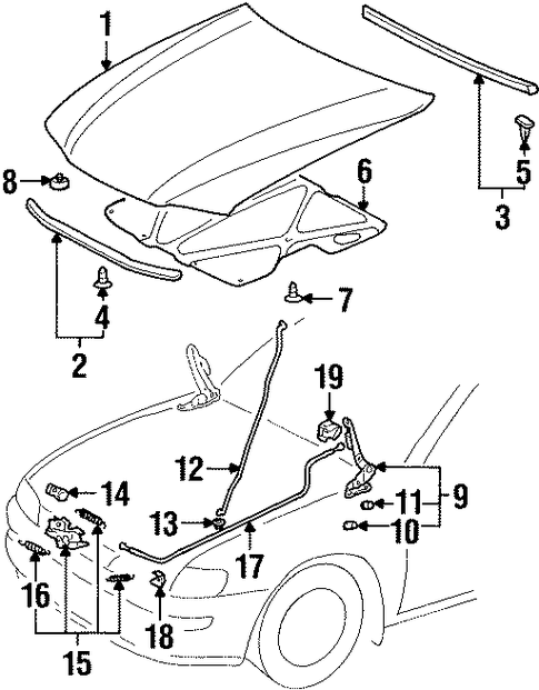 Prizm HOOD & COMPONENTS