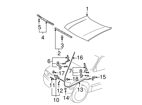 BODY/HOOD & COMPONENTS for 2001 Toyota Tacoma #1