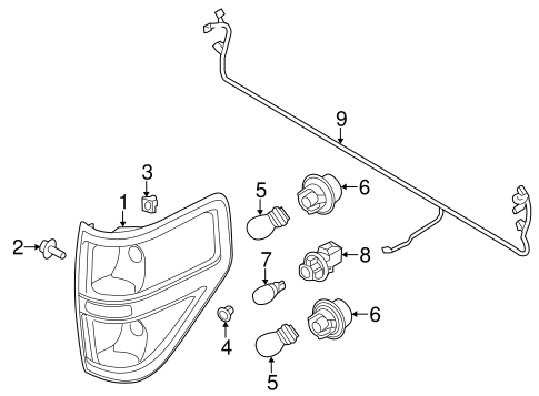 Electrical/Bulbs - Chassis for 2013 Ford F-150 #5