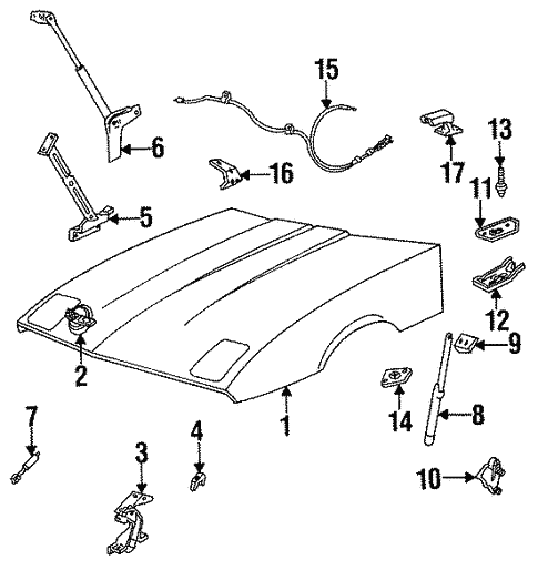 Body/Hood & Components for 1995 Chevrolet Corvette #1