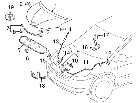 BODY/HOOD & COMPONENTS for 2011 Toyota Sienna #1
