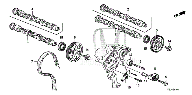 Engine/Camshaft - Timing Belt (V6) for 2011 Honda ACCORD COUPE #1
