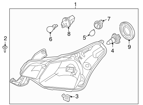 Focus BULBS - CHASSIS