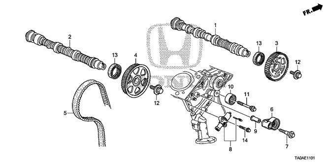 ENGINE/CAMSHAFT - TIMING BELT (V6) for 2012 Honda ACCORD SEDAN #1