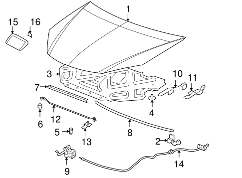 G6 EXTERIOR TRIM - HOOD