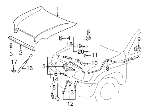 BODY/HOOD & COMPONENTS for 2002 Toyota Tundra #1