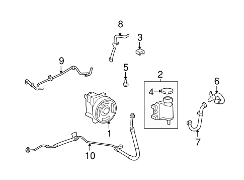 Fusion PUMP & HOSES