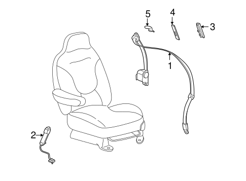 Blackwood REAR SEAT BELTS