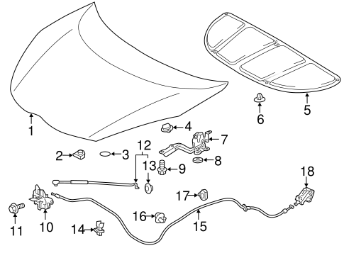BODY/HOOD & COMPONENTS for 2012 Toyota Prius C #1