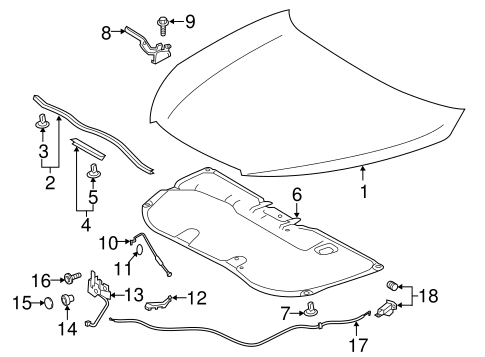 Body/Hood & Components for 2016 Toyota Highlander #1