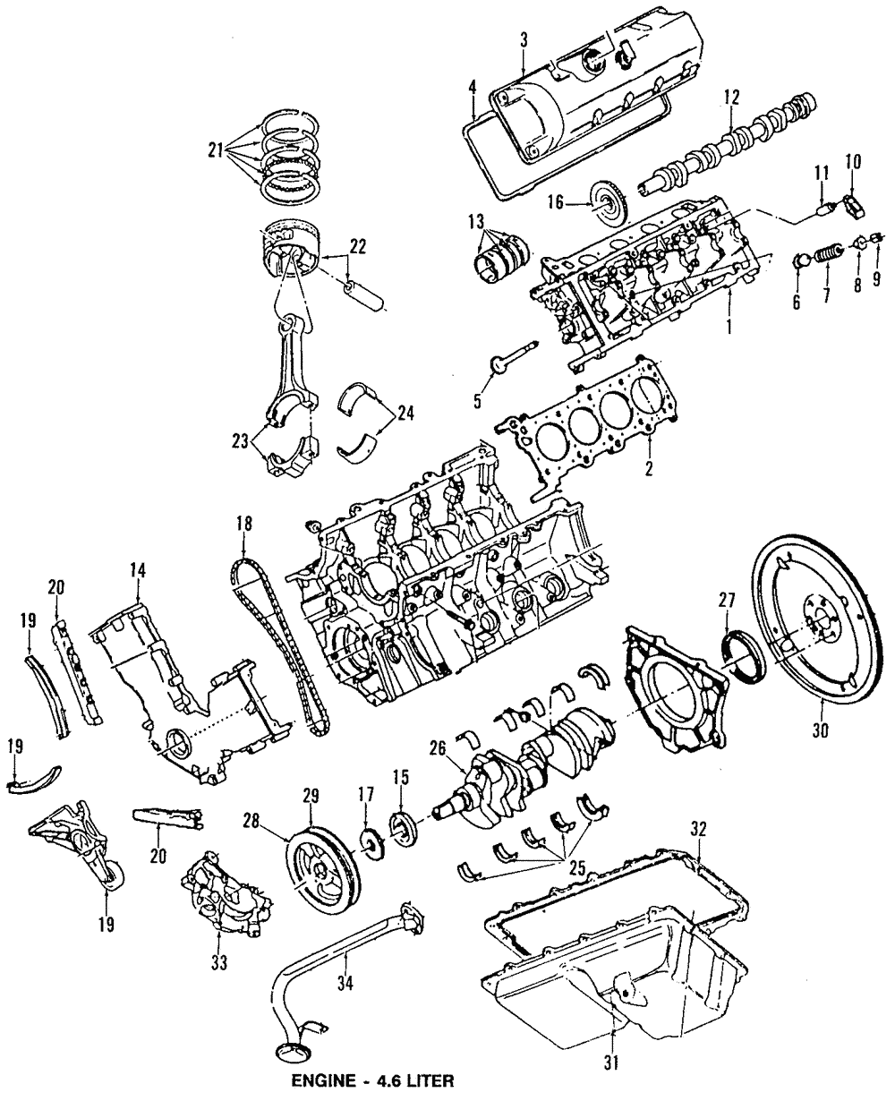 Bearing - Ford (XW7Z-6D309-BPA)