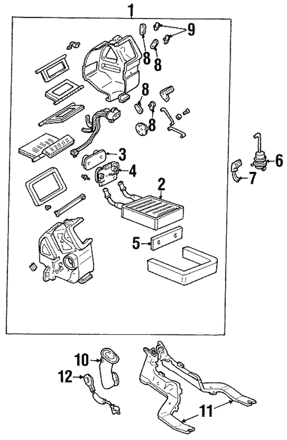 Vacuum Harness - Ford (YS4Z-18C581-AA)