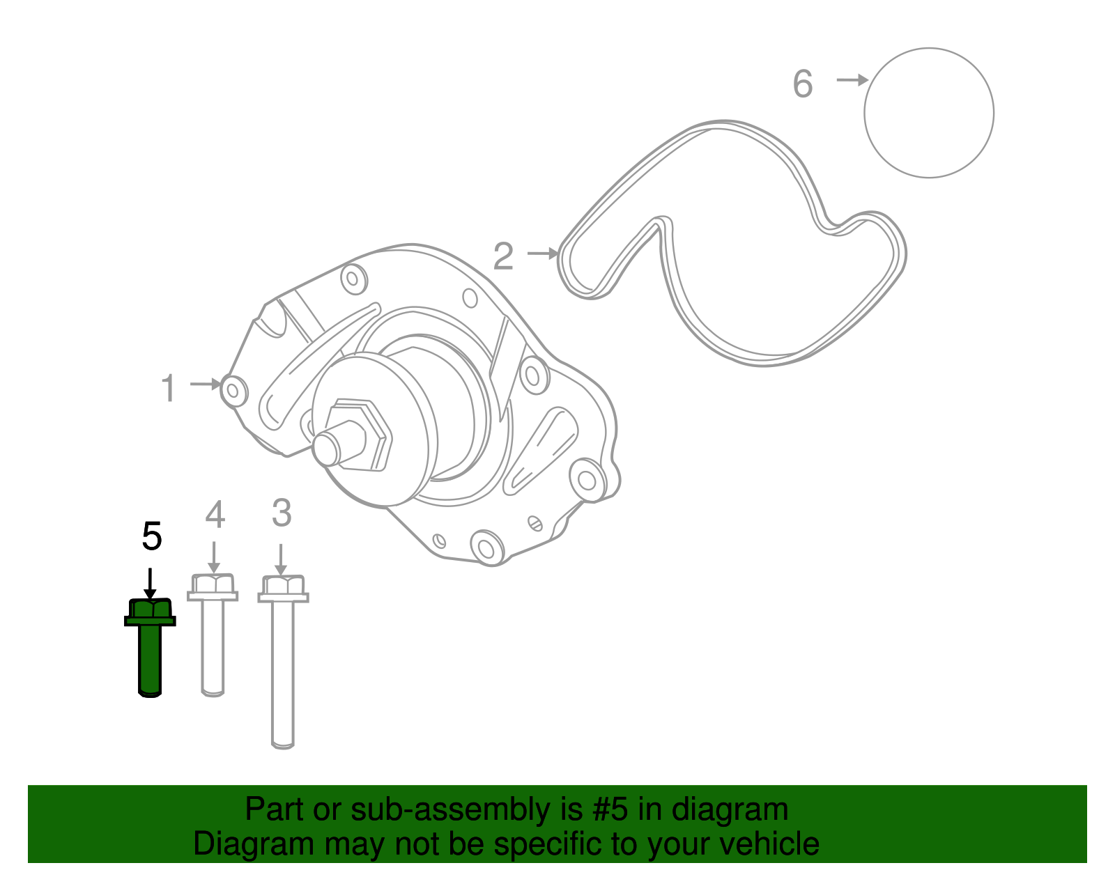 Water Pump Bolt - Volkswagen (WHT-004-259)