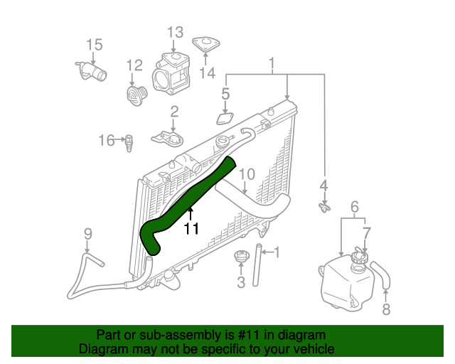 2001-2006 Mitsubishi Montero Lower Hose MR404876 | Mitsubishi 