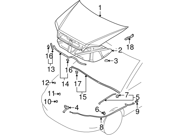 MN126736 - Hood Seal 2004-2007 Mitsubishi Lancer | Mitsubishi Direct Parts