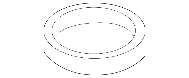 Fuel Pump Shell Ring - GM (96554009)