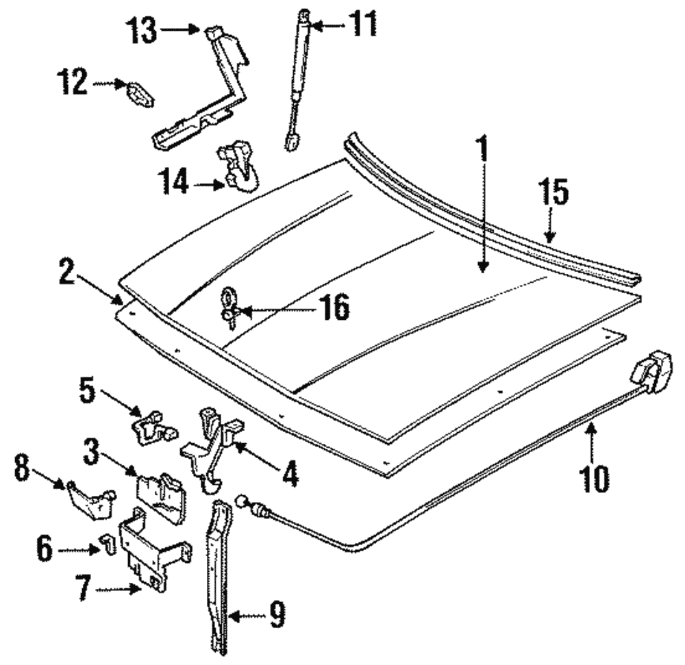 Hinge - GM (12391534)