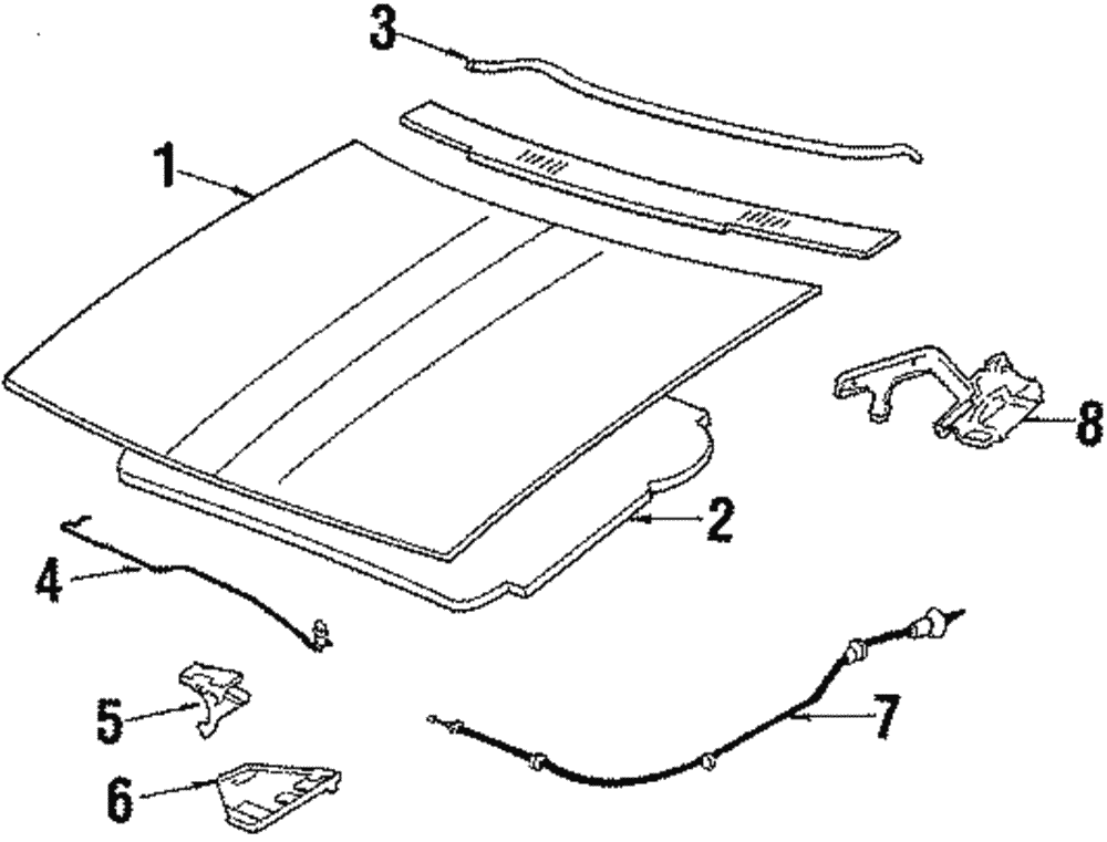 Lace-Hood Ldg - GM (20591472)