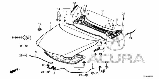 Engine Hood for 2013 Acura ILX #0