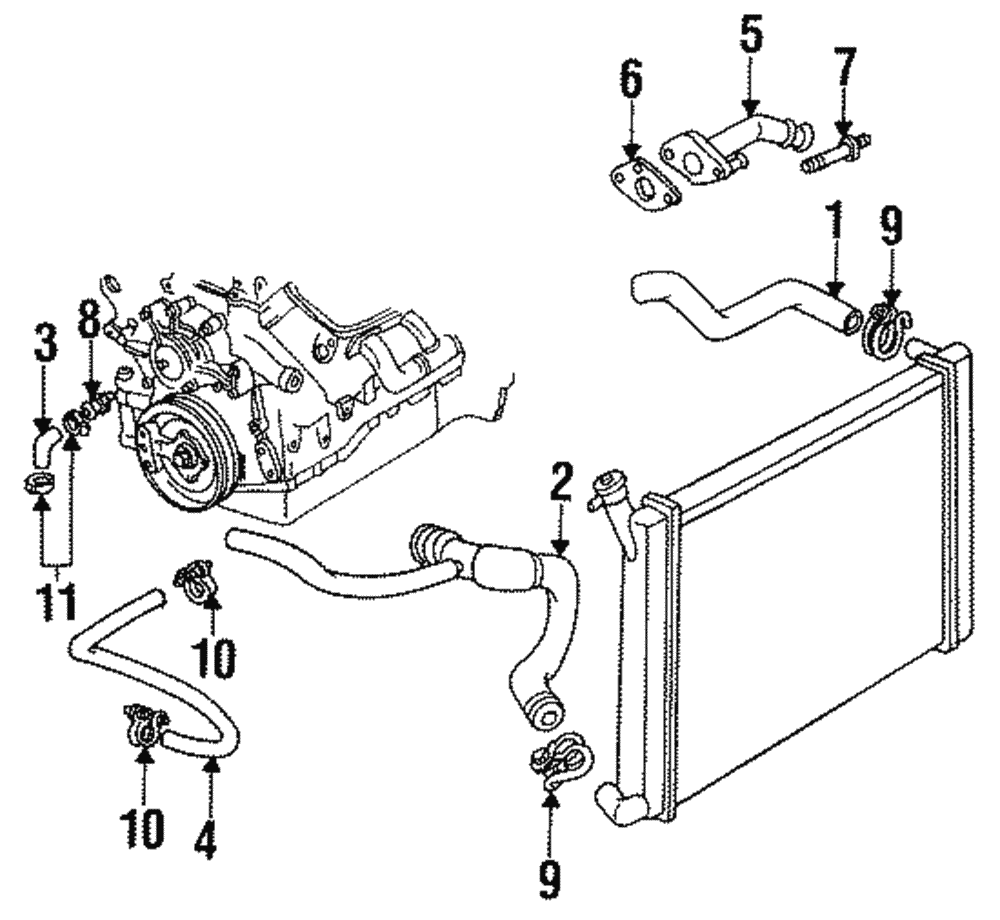 Hose Connector - GM (12486391)