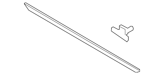 Side Molding - Ford (GD9Z-5425556-AF)
