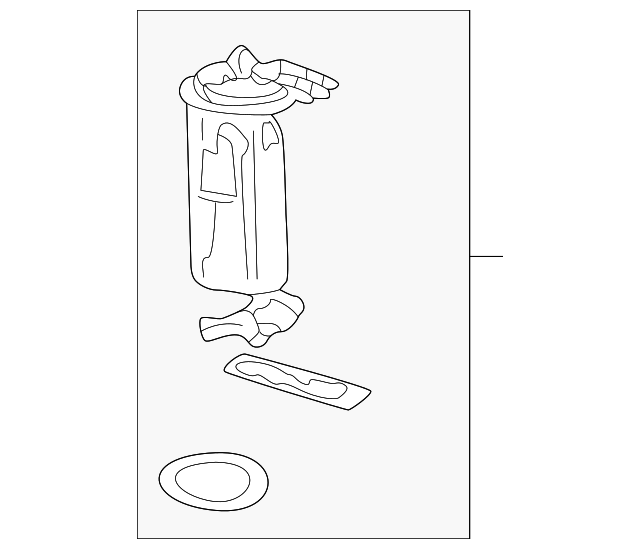 Fuel Pump Module Kit with Sender - GM (19369982)