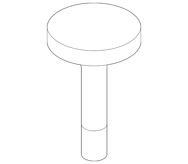 Rear Floor Compartment Bolt - GM (10306805)