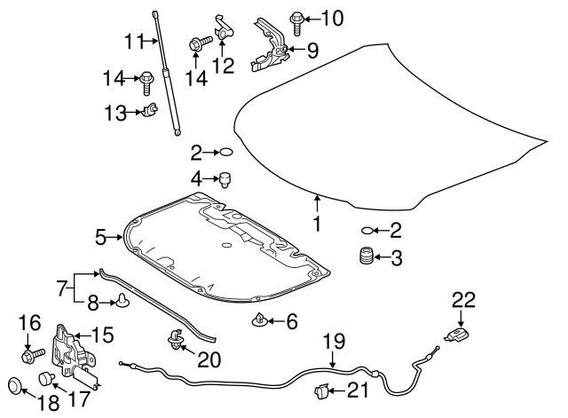 Toyota Hood Lift Support Part Toyota Of Colorado Springs Parts