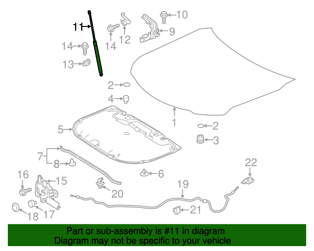 Toyota Hood Lift Support Part Toyota Of Colorado Springs Parts