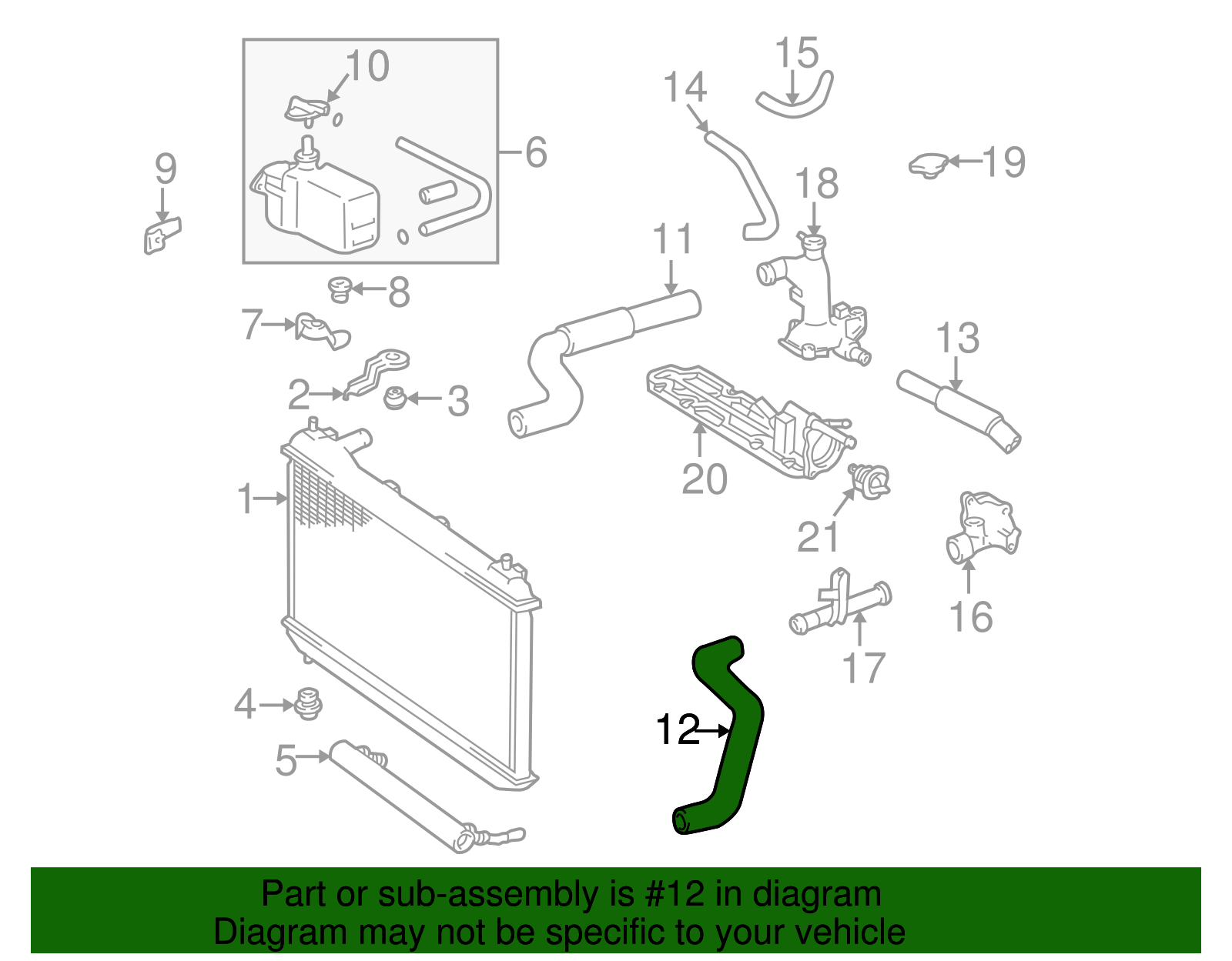 16572-20020 - Lower Hose 1997-1998 Lexus ES300 | Longo Lexus