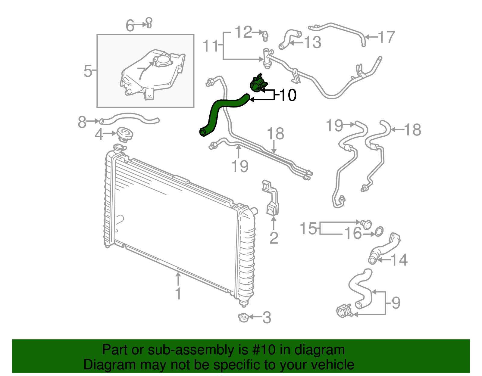 Lower Hose - GM (89023430)