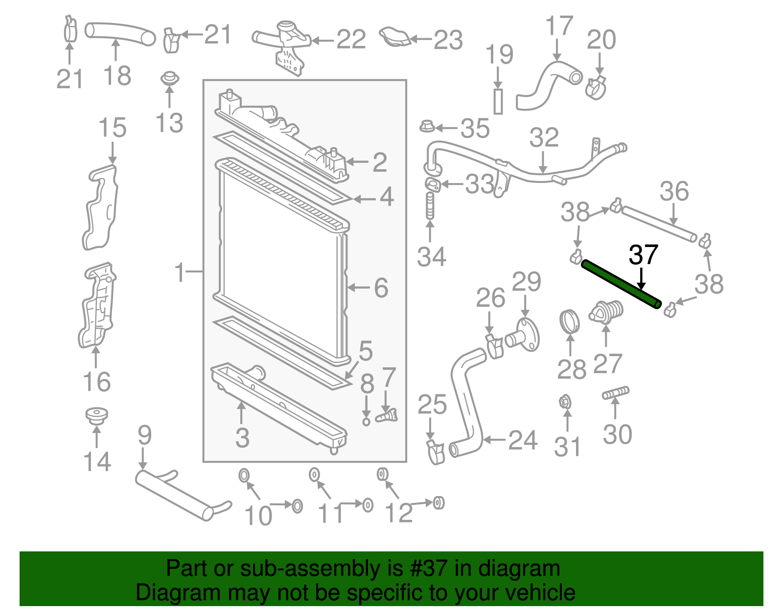 By-Pass Hose - Scion (99555-10185)
