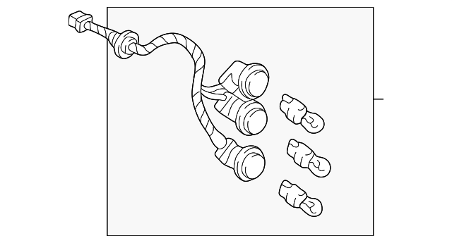 Socket & Wire - GM (12100675)