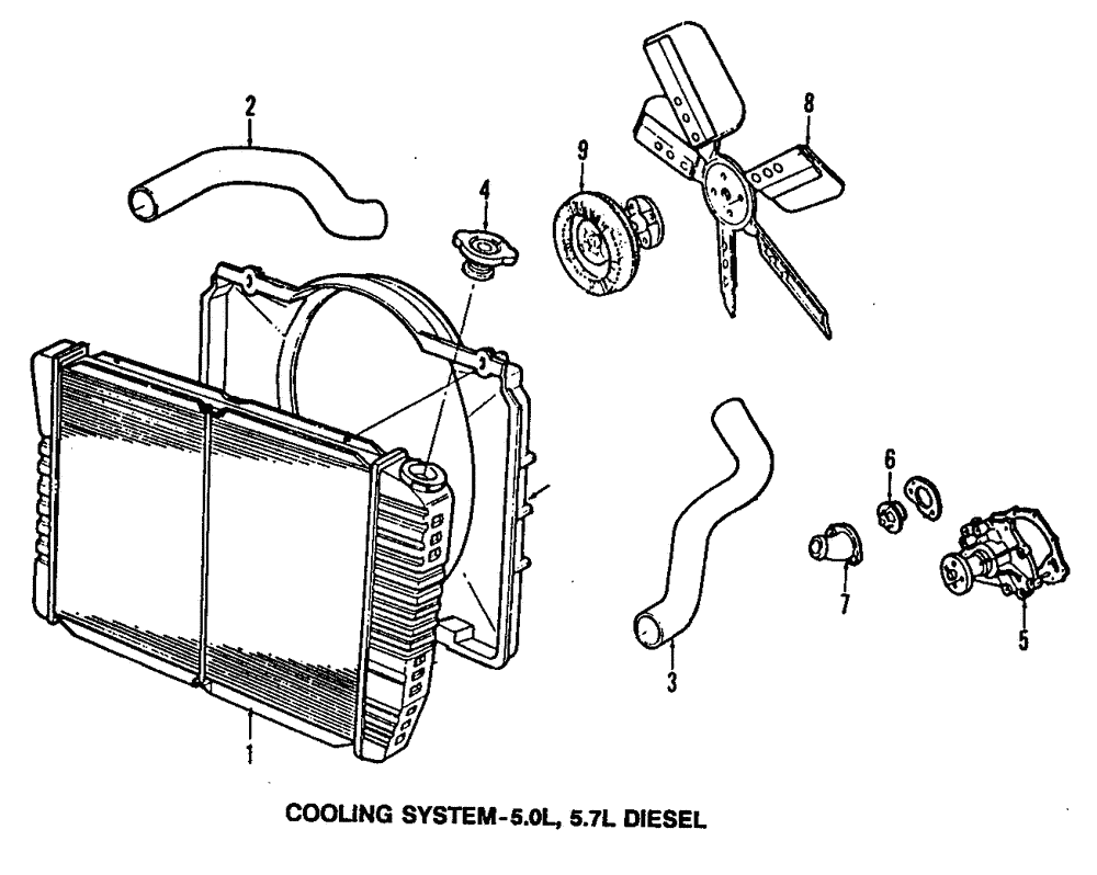 Lower Hose - GM (557966)