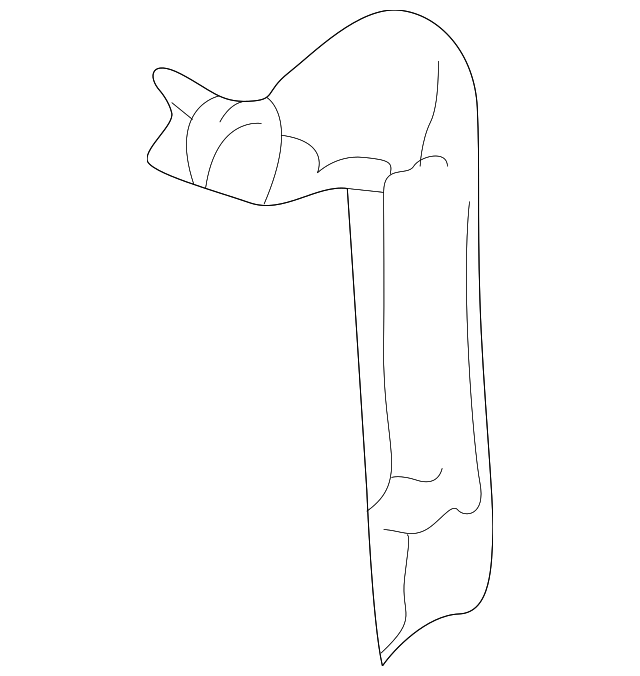 Front Reinforced - GM (25700929)