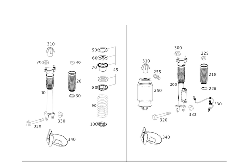 Rear Suspension Strut and Suspension Strut Mount for 2016 Mercedes-Benz ...