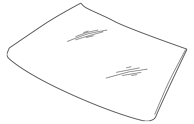Windshield Assembly - GM (19301565)