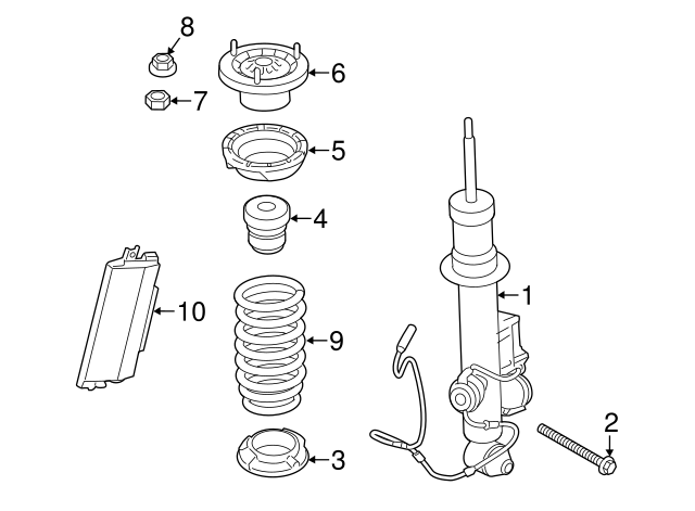33536795438 - 2013-2019 BMW Coil Spring (33-53-6-795-438) | BMW of 