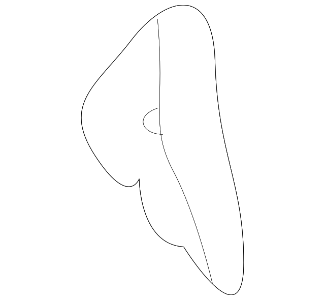 Cam - GM (52489578)