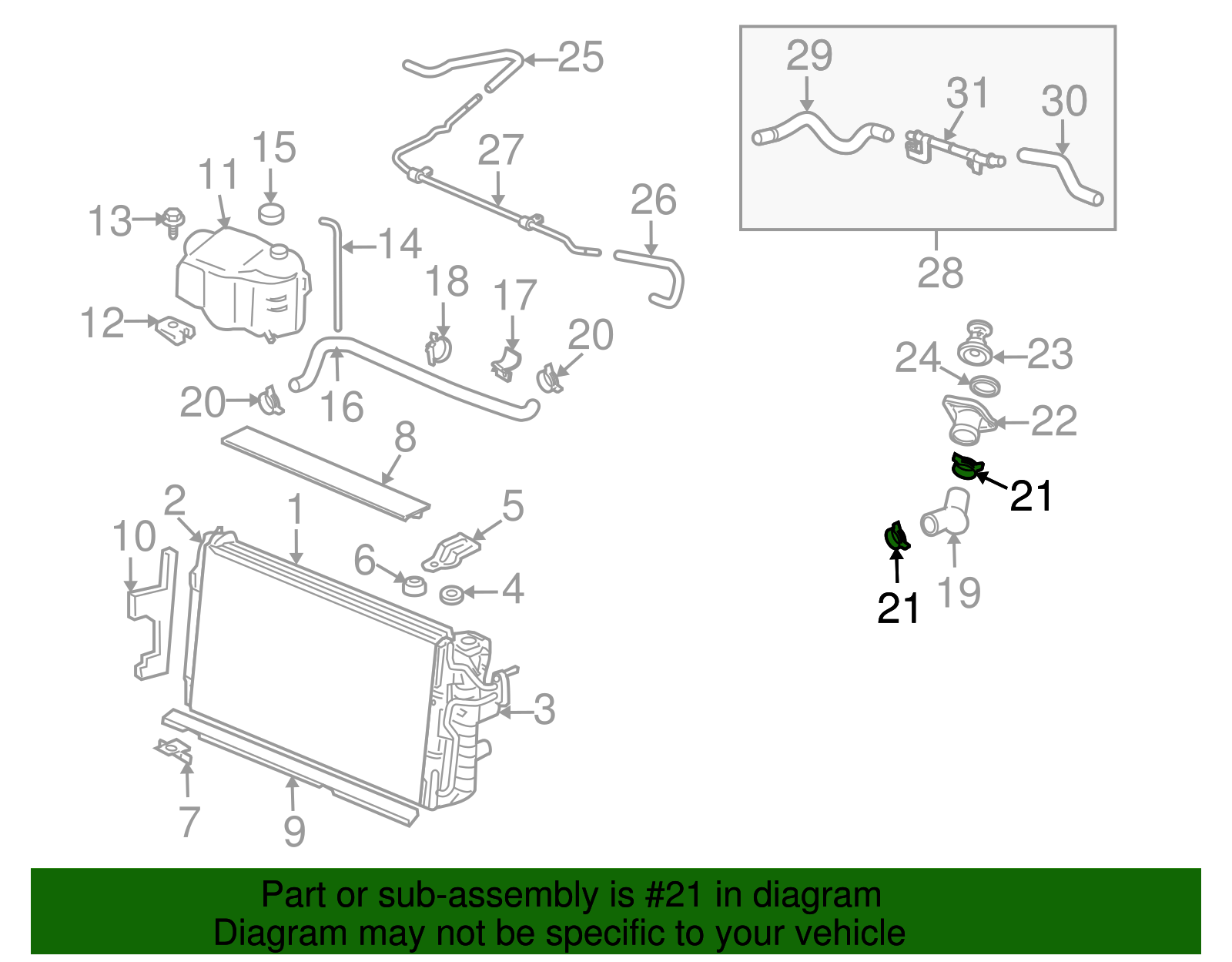 Lower Hose Clamp - Buick (25725971)