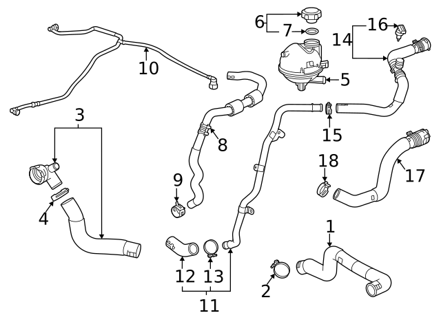 2020-2024 GM Lower Hose 42731774 | GM Parts Center