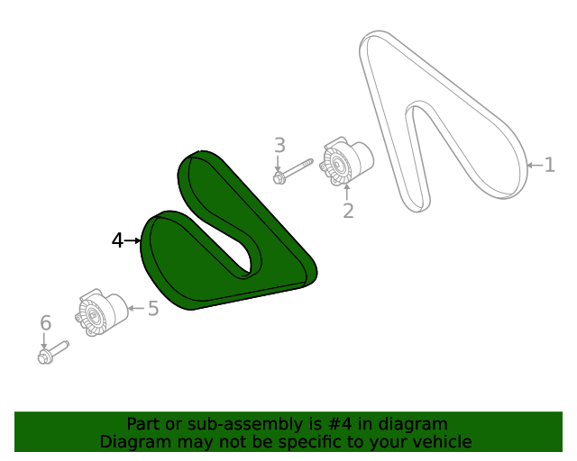 20202023 Ford Water Pump Belt LK4Z8620AA OEM Parts Online