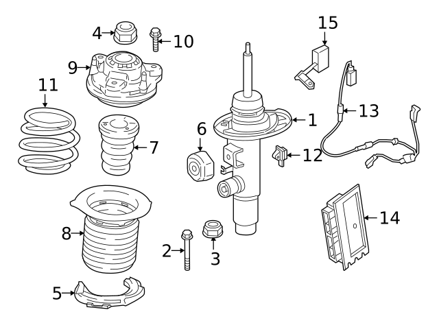 37-10-6-895-060 - Strut - 2020-2024 BMW M340i | Buy BMW Parts Now