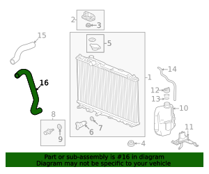 19502-64A-A00 - 2022-2025 Honda - Lower Hose | Genuine Honda Parts