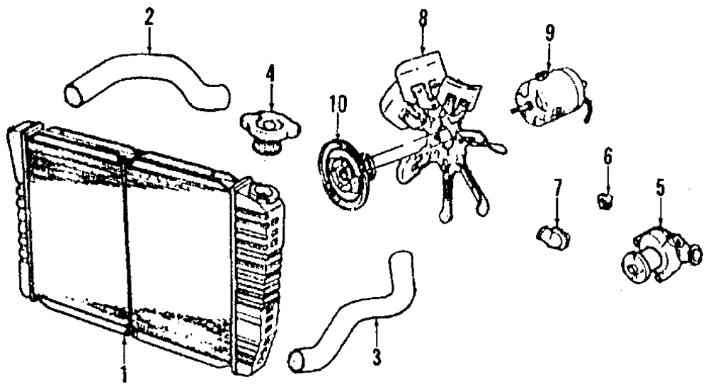 Lower Hose - Ford (E8SZ-8286-D)