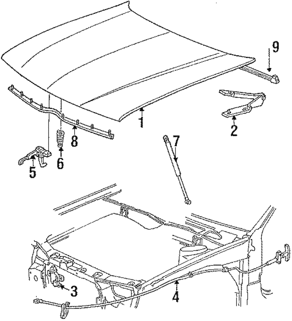 Hood - Ford (E84Y-16612-A)