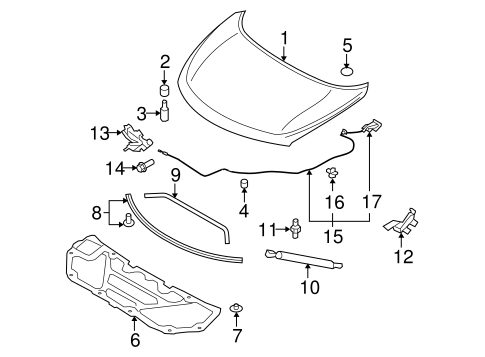 Hood & Components for 2009 Nissan Murano #0