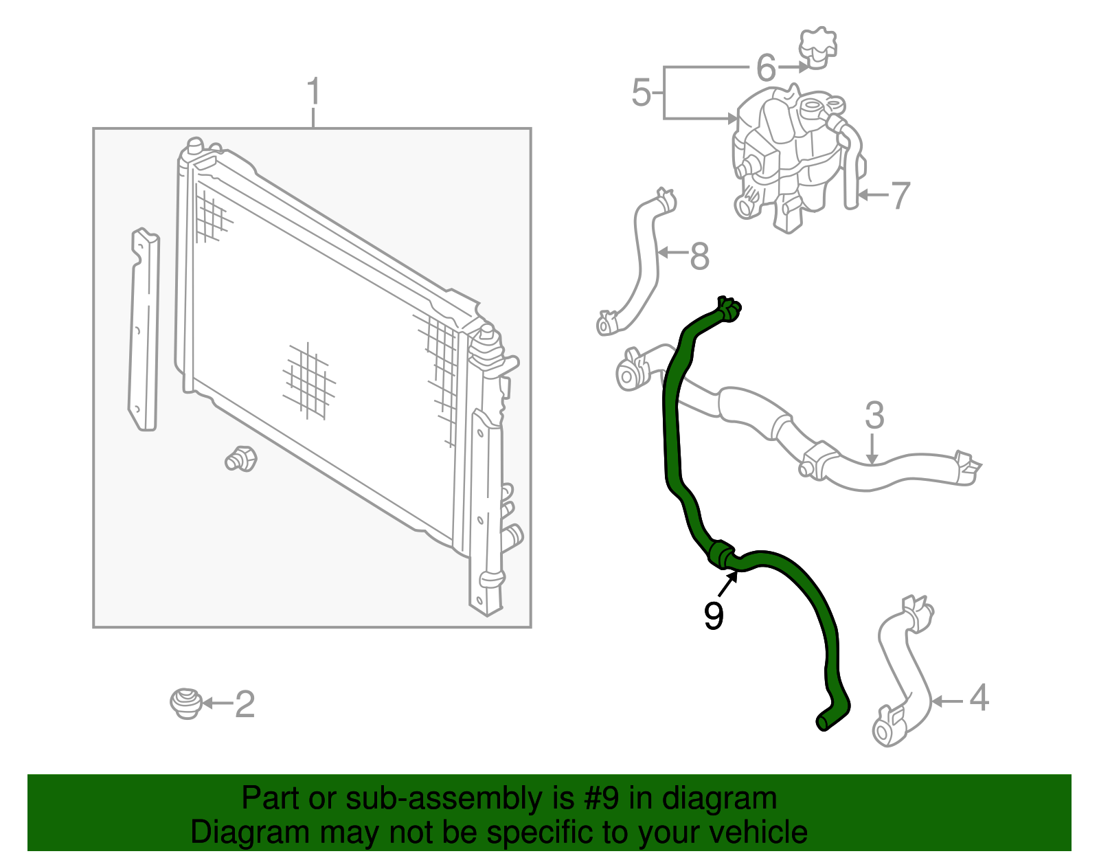 Overflow Hose - Ford (YL8Z-8B081-BA)