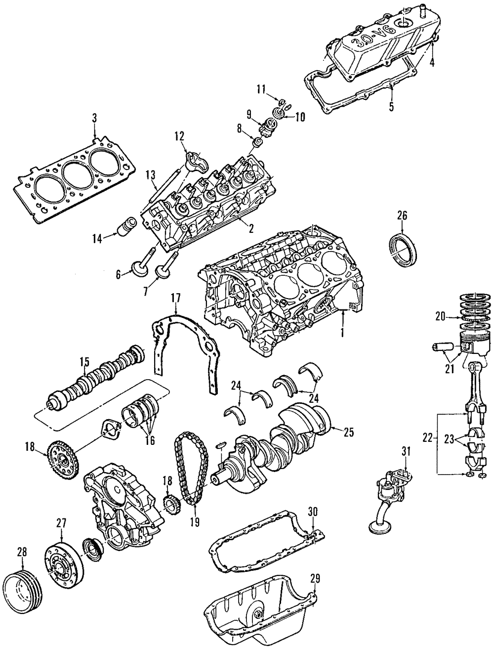 Valve Seals - Ford (YF1Z-6571-DA)
